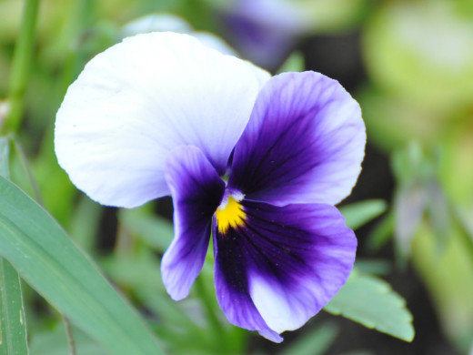430014 (a): :1600x1200